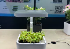 Grow light solution for your kitchen at home.